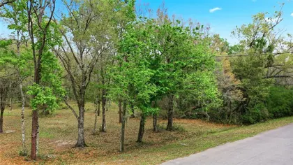 ORLANDO FL Property