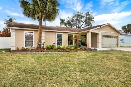 BRANDON FL Home