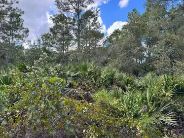 DELAND FL Property