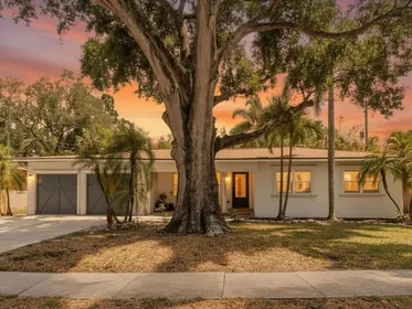 TAMPA FL Home