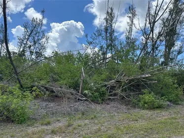 PORT CHARLOTTE FL Property