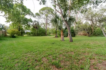 TARPON SPRINGS FL Property