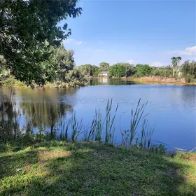 ODESSA FL Property