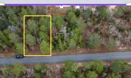 OCKLAWAHA FL Property