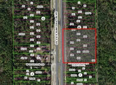 HOMOSASSA FL Property