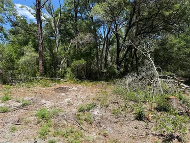 OCKLAWAHA FL Property