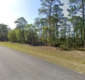 CITRUS SPRINGS FL Property