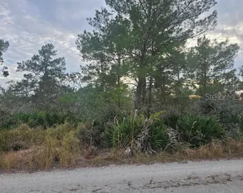 SEBRING FL Property
