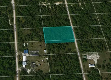 CLEWISTON FL Property