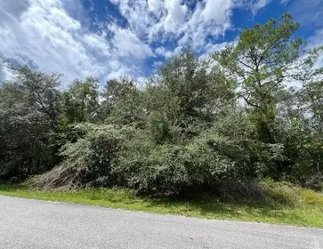 CITRUS SPRINGS FL Property