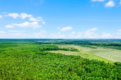 CLERMONT FL Property