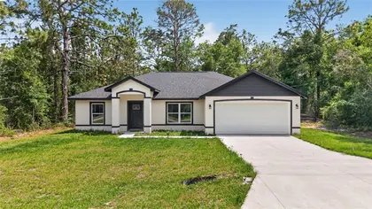 OCKLAWAHA FL Home