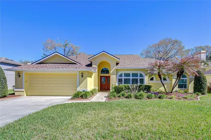VALRICO FL Home