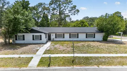 BRANDON FL Home