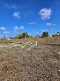 CAPE CORAL FL Property