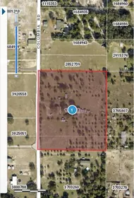 TAVARES FL Property