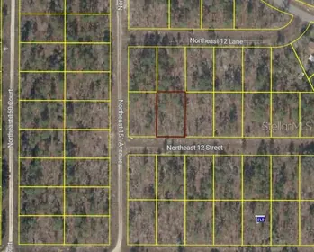 WILLISTON FL Property