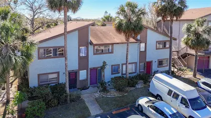 TAMPA FL Home