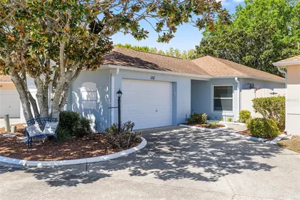 THE VILLAGES FL Home