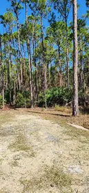 CEDAR KEY FL Property