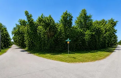 HOMOSASSA FL Property