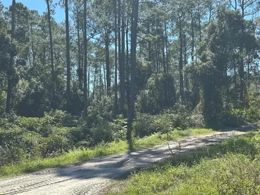 DELAND FL Property