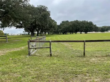 WILLISTON FL Property