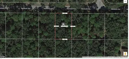 PORT CHARLOTTE FL Property
