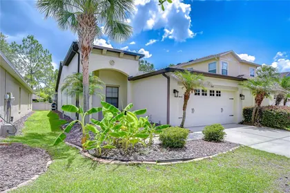 TAMPA FL Home