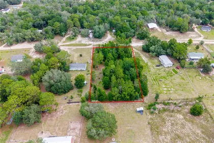 BRONSON FL Property