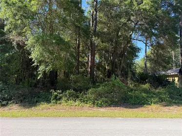 CITRUS SPRINGS FL Property