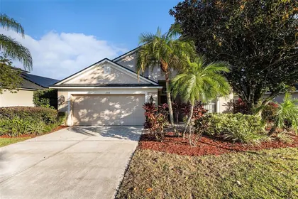 VALRICO FL Home