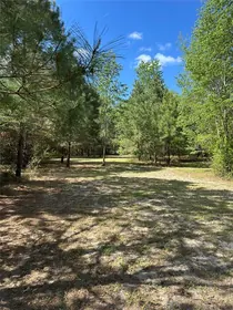 LAKE CITY FL Property
