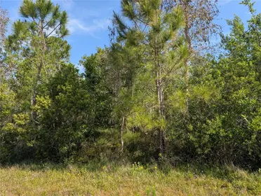 INDIAN LAKE ESTATES FL Property
