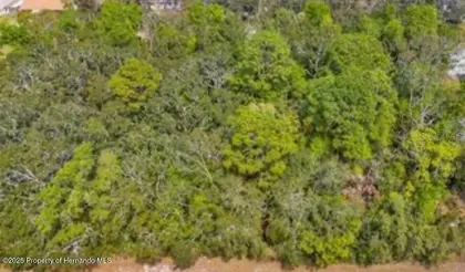 HERNANDO FL Property