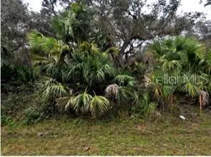NORTH PORT FL Property