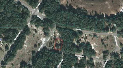 OCKLAWAHA FL Property