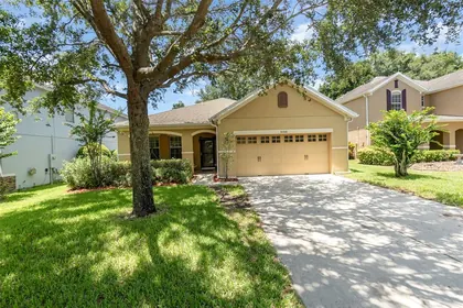 MOUNT DORA FL Home