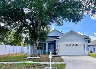 VALRICO FL Home