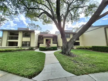 OLDSMAR FL Home