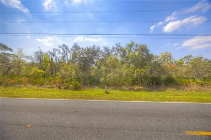WEBSTER FL Property