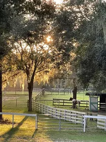 DADE CITY FL Property