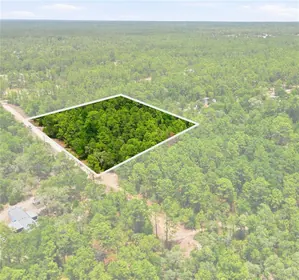 DUNNELLON FL Property