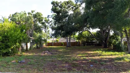 CLEARWATER FL Property