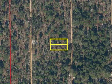 INTERLACHEN FL Property