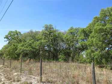 DUNNELLON FL Property