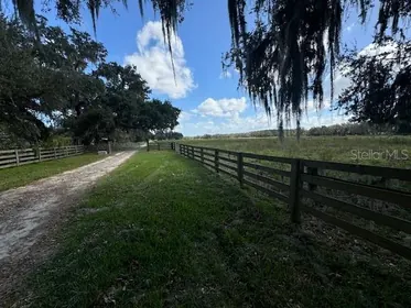 WEBSTER FL Property