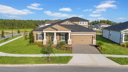 WESLEY CHAPEL FL Home