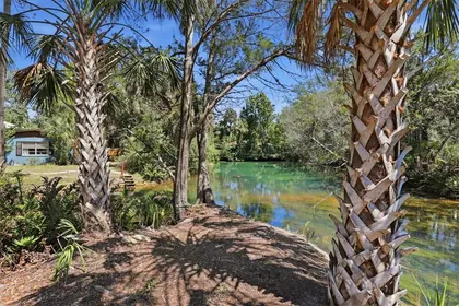 WEEKI WACHEE FL Property