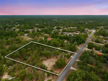 WEEKI WACHEE FL Property